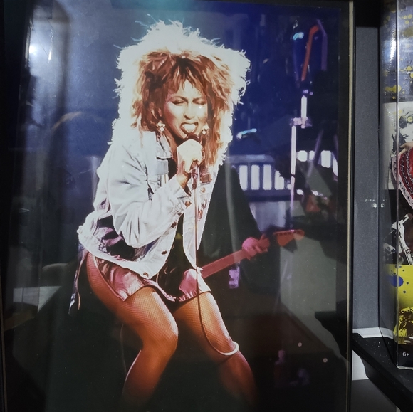 Tina Turner barbie with picture - Picture 5 of 6